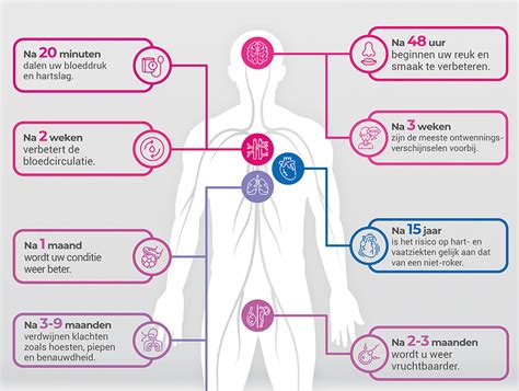 Infographic die de effecten van seks op het lichaam tijdens de zwangerschap toont