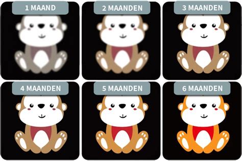 Een vergelijking van het zicht van een pasgeboren baby met dat van een baby van 3 maanden, met illustraties van hoe zij patronen en kleuren waarnemen.
