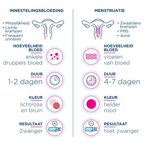 Illustratie van de baarmoeder met een innestelingsbloeding