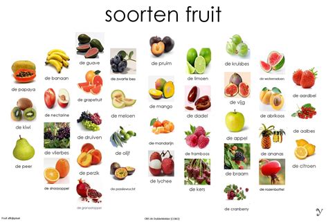 Afbeelding van verschillende soorten fruit en groenten, geschikt voor baby's van 7 maanden.