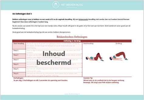 Schema met verschillende bekkenbodemoefeningen voor na de zwangerschap