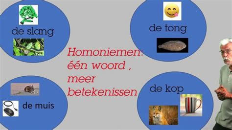 Infographic die de verschillende betekenissen van woorden en synoniemen illustreert.