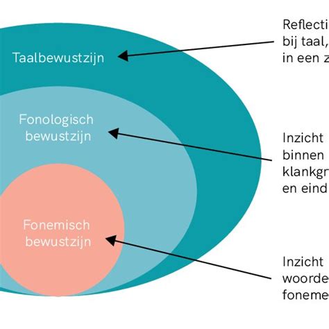 Schema dat het verschil tussen fonologisch en fonemisch bewustzijn uitlegt.