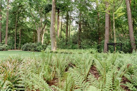 Stoere off-road buggy in een bosrijke omgeving
