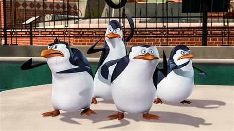 De vier pinguïns uit Madagascar in een komische pose.