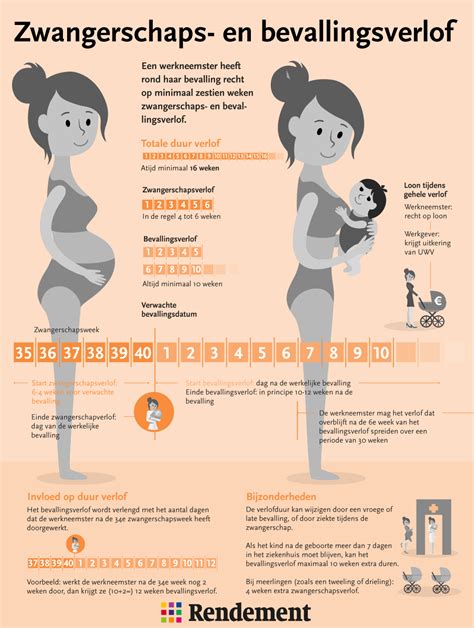 Infographic met de totale duur van zwangerschaps- en bevallingsverlof
