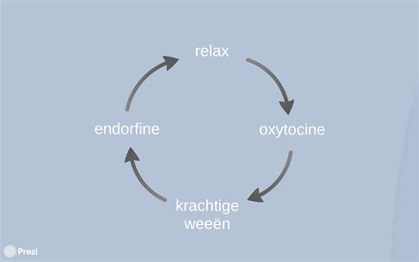 Infographic over de werking van oxytocine en endorfine tijdens de bevalling
