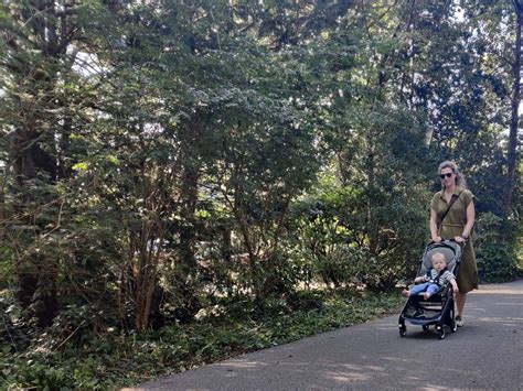 Illustratie van een Maxi-Cosi kinderwagen in een stedelijke omgeving
