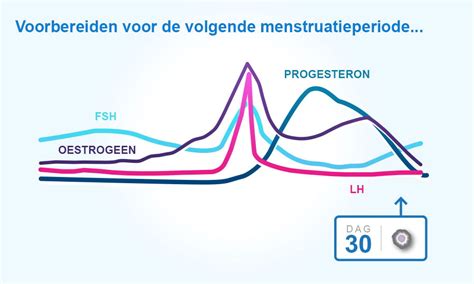 Infographic die de variatie in menstruatiecycli toont