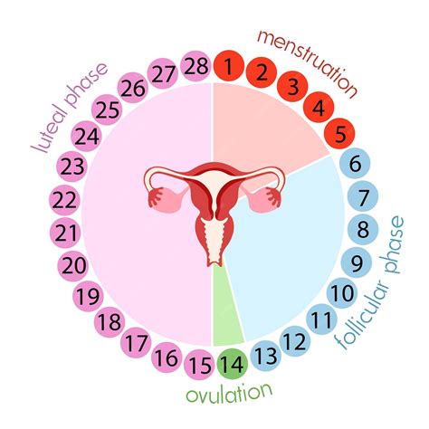 Infographic met grafische weergave van LH-waarden gedurende de menstruatiecyclus en bij mannen.