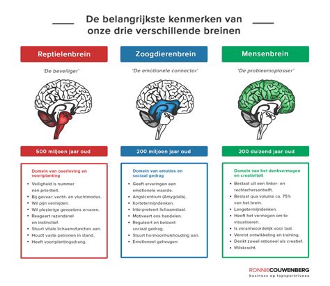 infographic met de verschillende trisomieën (13, 18, 21) en hun kenmerken