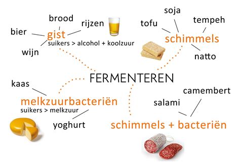 Schematische weergave van het fermentatieproces van kefir, met kefirkorrels, melk en het eindproduct.