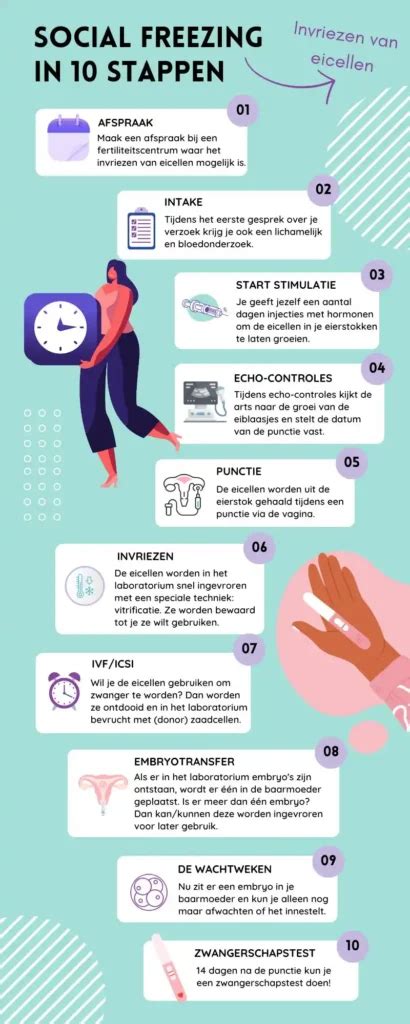 Infographic die de stappen van de draagmoederschapsprocedure weergeeft.