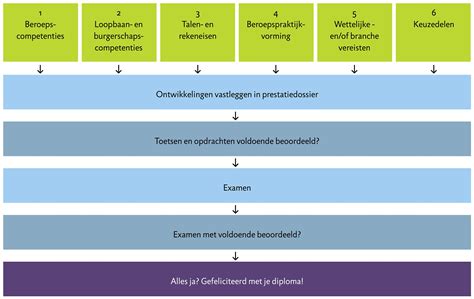 Schema van de opbouw van de basisopleiding tot klinisch verloskundige met de verschillende jaren en focusgebieden.