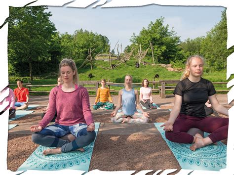 Een vrouw in een serene pose tijdens een yogasessie
