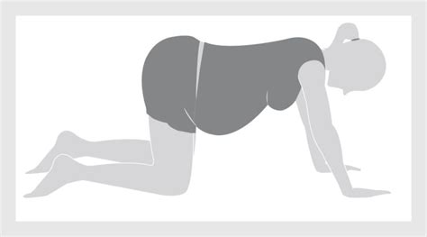 Illustratie van een vaginale stuitbevalling met de baby in 'all fours' positie