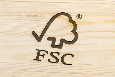Illustratie die de duurzaamheid en herkomst van hout voor speelgoed benadrukt, met FSC® logo.