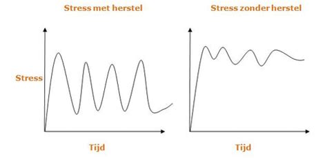 grafiek die de impact van stress op de hersenontwikkeling van premature baby's toont