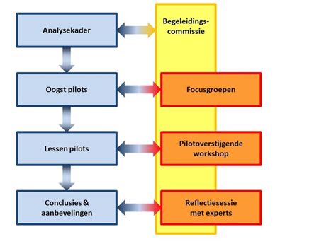Schematische weergave van de juridische stappen bij draagmoederschap