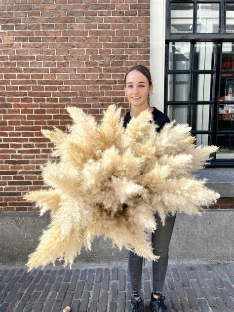 Voorbeelden van verschillende stylingopties voor pampas pluimen in diverse interieurs