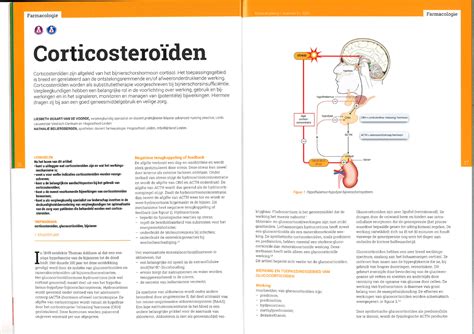 Schema dat de werking van corticosteroïden op de longrijping van een foetus toont.