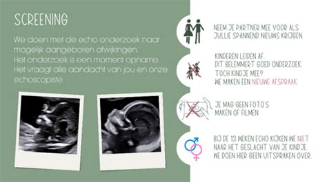 Een infographic met tips voor een succesvolle pretecho, zoals een volle blaas en de beste week van de zwangerschap.