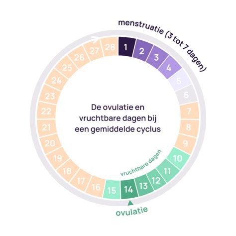 Diagram dat de timing van ovulatie en het vruchtbaarheidsvenster toont