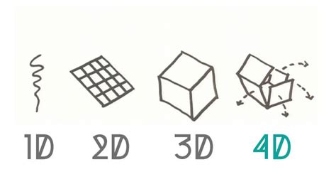 Vergelijking van 2D, 3D en 4D echo-beelden.