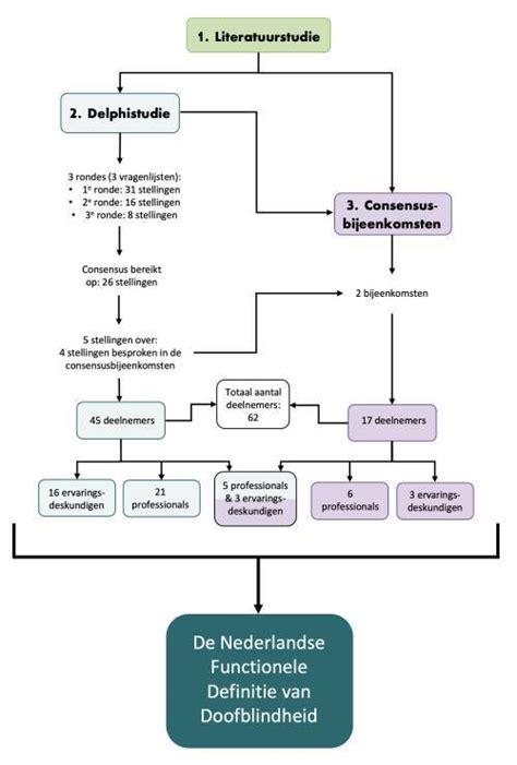 Schema dat de inclusie- en exclusiecriteria van de literatuurstudie samenvat.