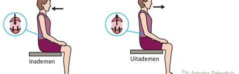 infographic met oefeningen voor bekkenbodem en ademhaling