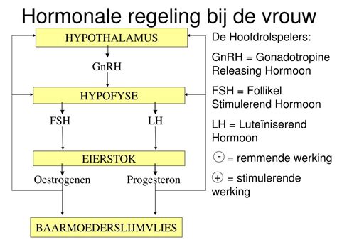 Schema van de hormonale stimulatie met verschillende medicijnen