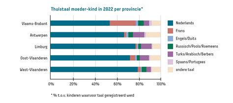diagram dat de relatie tussen thuistaal en Nederlandse taalvaardigheid toont