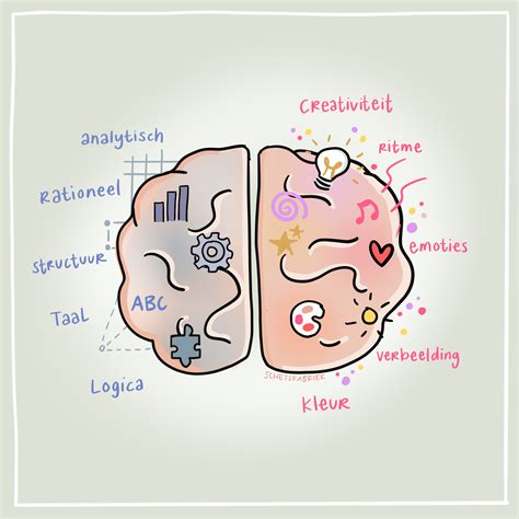 illustratie van een brein met verbindingen tussen verschillende taalgebieden