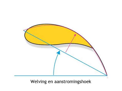 Illustratie van de anatomische speen met uitleg over de welving en schuine punt voor tongplaatsing.