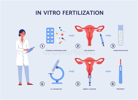 Illustratie van IVF en ICSI-processen in het laboratorium