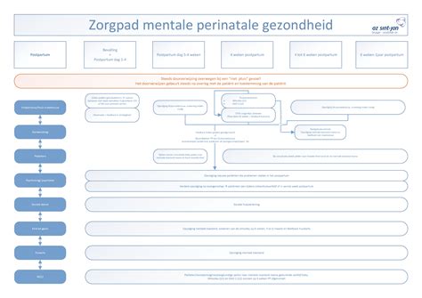 Schema van het zorgpad voor perinatale mentale gezondheid.