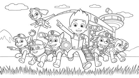 Illustratie van de PAW Patrol pups in actie met hun voertuigen.