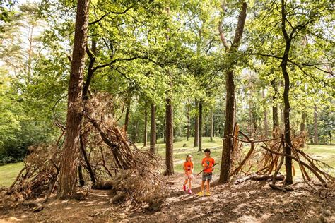 Een kind bouwt een hut in een speelbos, omringd door bomen en natuurlijke elementen.