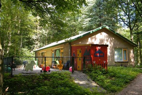 Foto van de bosrijke omgeving rondom Kinderdagverblijf Pommetje Beekbergen.