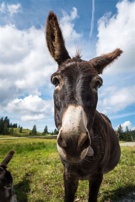 Een afbeelding van een babychecklist of een georganiseerde babykamer.