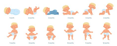 Infographic die de ontwikkeling van objectpermanentie illustreert, met voorbeelden van een baby en een peuter.