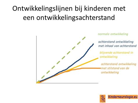 Schema dat de verschillende ontwikkelingsgebieden toont waar vertraging kan optreden bij een ontwikkelingsachterstand.