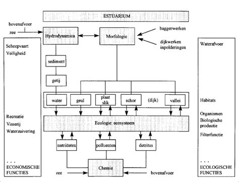 Schematische weergave van de verschillende modi van de Difrax flessenwarmer.