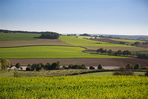 Landschap van het Heuvelland met glooiende heuvels en groene weiden