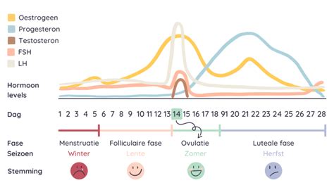 Illustratie van de hormonale verschillen tussen een normale cyclus en PCOS, met nadruk op FSH, LH, oestrogeen, progesteron, insuline en testosteron.