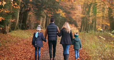 Een gezin met een kinderwagen wandelt over een breed, verhard pad door een groen bos in Drenthe.