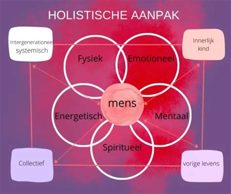 Infographic die de holistische aanpak van het traject visualiseert, met pijlen die het denkbrein, emotionele brein en lichaam verbinden.