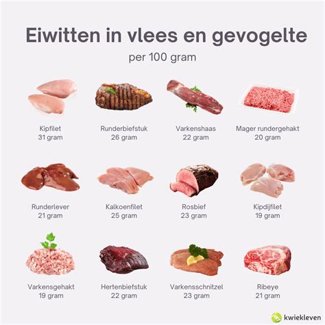 visuele weergave van voedingsmiddelen rijk aan zink, met nadruk op zeevruchten en vlees