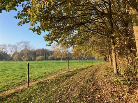Sfeerbeeld van een kasteeldomein met een wandelpad