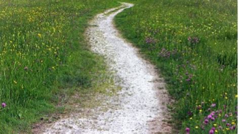 Uitgestrekte duinen met een wandelpad